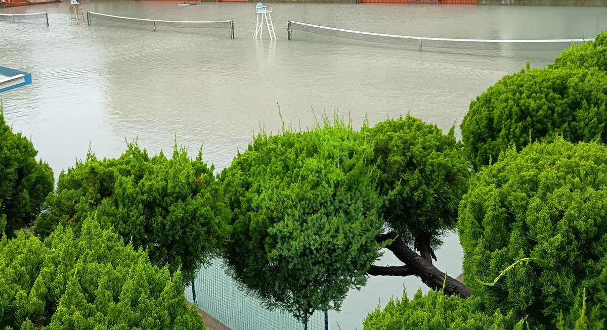kuta42's tweet photo. 雨上がりにイシクラゲ探し出たら、その近くのテニスコートが遊水地使用されてた https://t.co/04ktPHXtVY