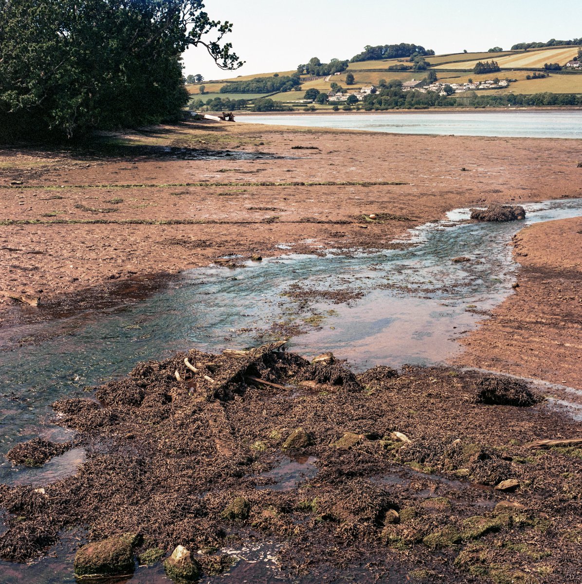 pootlepod's tweet photo. 'Low water on the Teign estuary'
Bronica SQ-A
#filmlivesonforever
#analoguevibes #analoguephotography #filmisalive #filmisnotdead #Kodak #bronica #photooftheday
#colourfilmliveson #film #vintageimages #mediumformatfilm #filmisalive #onetwentyfilm #photoswithsoul #phototime https://t.co/UQcP9Ylp3v