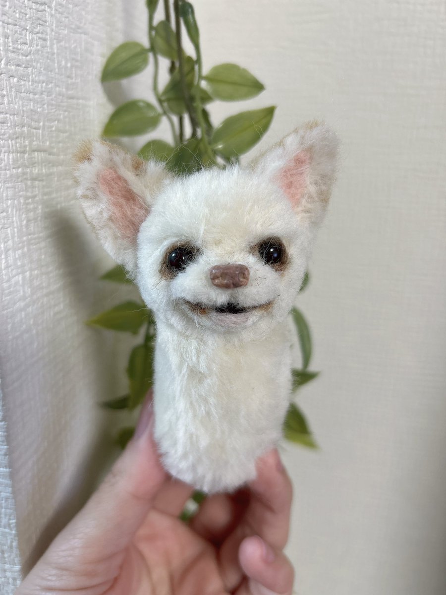 92子(Theべー)めいめい (@teamgeorgefan) / Posts / X