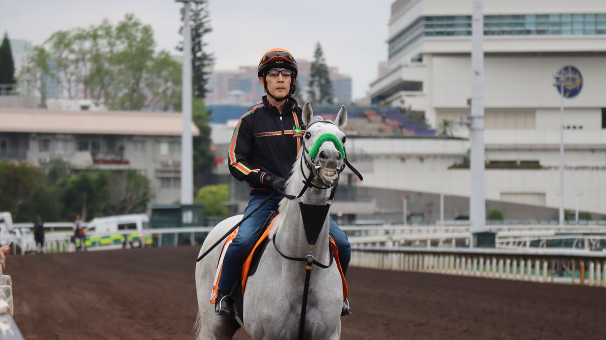 idolhorsedotcom tweet picture
