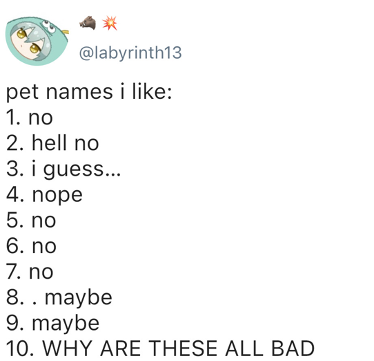 EmblemOfAcumen's tweet photo. hi!!! i wrote a short harutenn socmed au based off this tweet from a few years ago (better late than never)

- non-idol au where everyone knows each other from rabbiter
- newly established and e-dating🍩🐗
- ignore timestamps https://t.co/RQstEciYHm