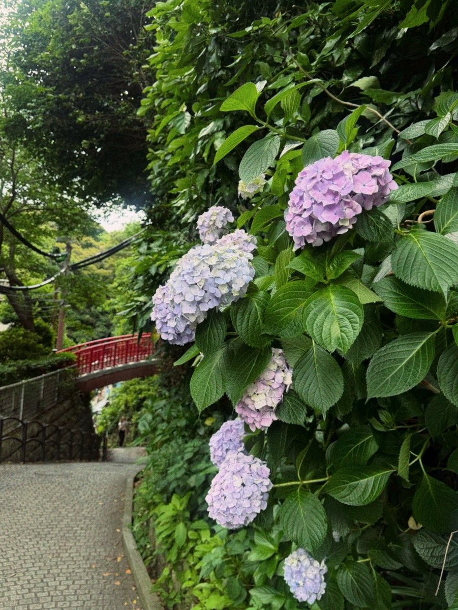 sp6ee's tweet photo. 十景島めぐりて https://t.co/H201PcpTLL