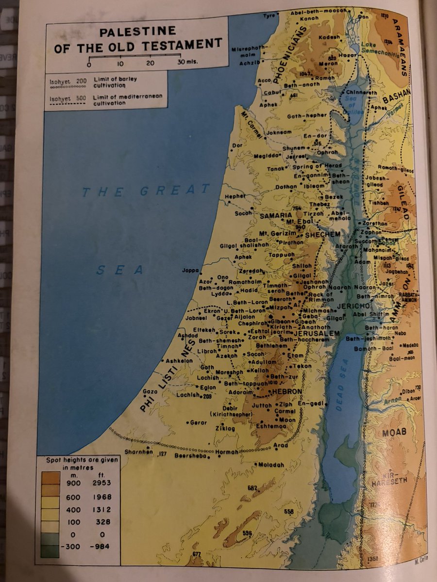 aboleynn's tweet photo. @realDonaldTrump Before the Jews translated our new bibles the old testament Shows the truth. There is no Israel, only Palestine. https://t.co/t7hoGL9LdE