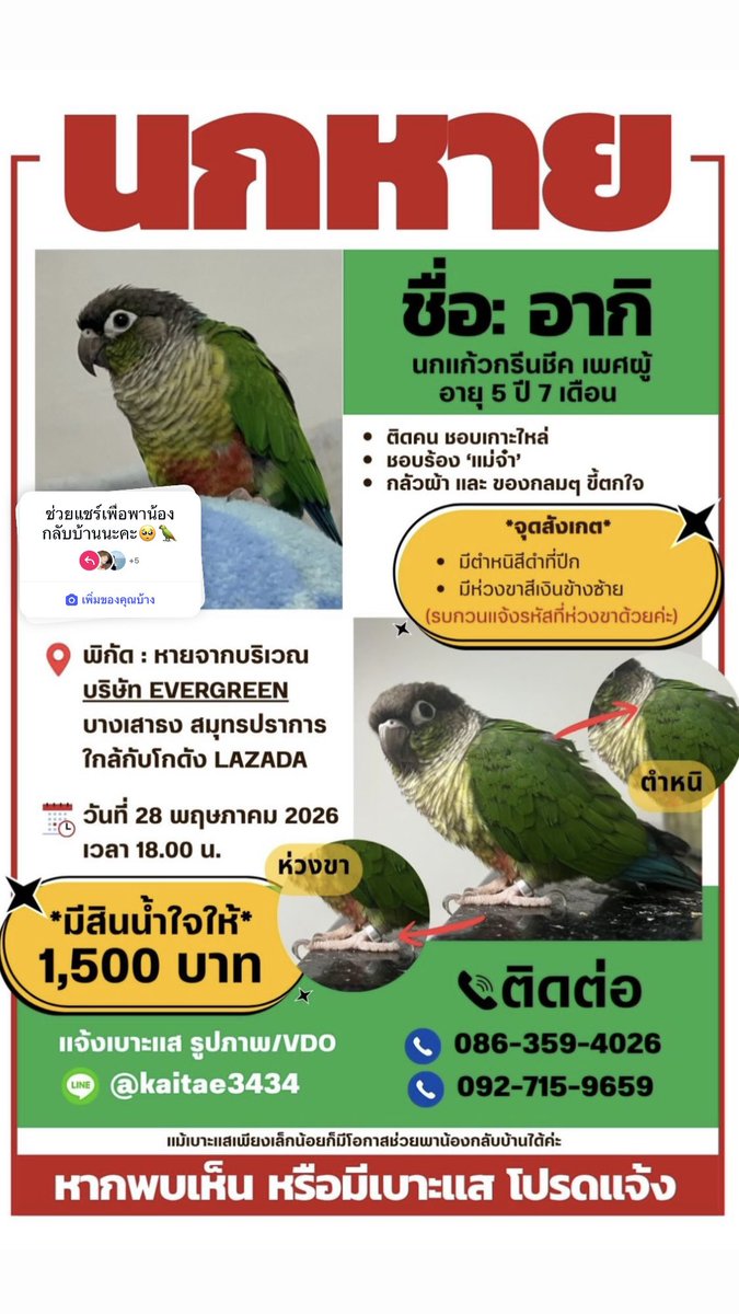 あっくん🏂 tweet media