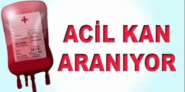 Vedat tweet media