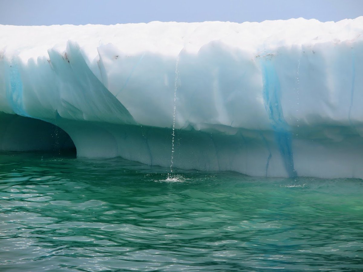mikep_lbi's tweet photo. My coffee this morning is extra special as it it brewed with water from a melting iceberg - pristine, natural and sublime! https://t.co/JJdXqWxxIX