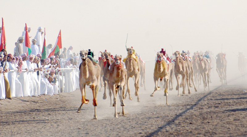 om_heritage's tweet photo. تُعد سباقات الهجن من أعرق الرياضات التراثية في عُمان، حيث ارتبطت بالإبل التي شكلت جزءًا مهمًا من حياة العُمانيين عبر القرون. 🏁🐫
موروث يجمع بين الأصالة والفخر ويعكس عمق ارتباط الإنسان العُماني ببيئته الصحراوية. ✨ https://t.co/J8NYlreJL7