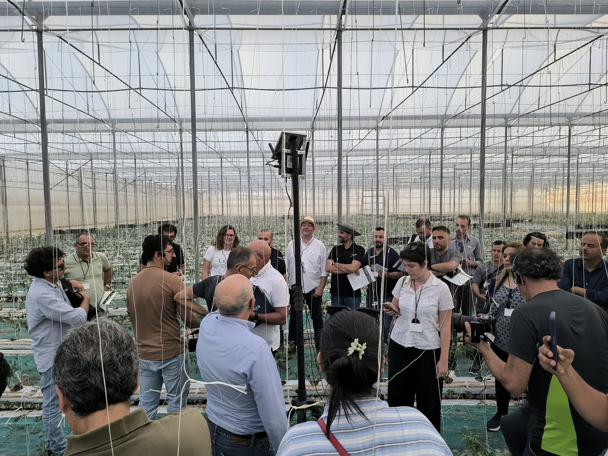 PROTECHMED57691's tweet photo. Day 1 of PROTECHMED’s three-day Inception Camp concluded yesterday, 3 June 2026, with a Project Meeting and Best Management Practices (BMP) tour within the Agritech Horticultural District of south-east Sicily.

See more 👉 https://t.co/kWtfklgxEQ https://t.co/3t5KjTLUUW