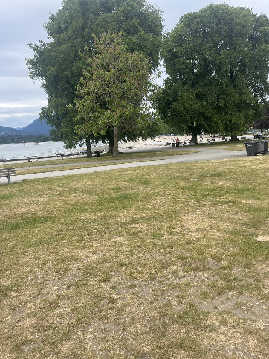 theaquaticfrog's tweet photo. While I haven’t been in the VGC scene for a while due to moving here for Game Design school (I just graduated very recently), I can vouch for Vancouver to anyone

Is it expensive? Absolutely, but Vic is right, giving up a lot is worth it. If I could continue to live here I would https://t.co/pkmFAWE18A