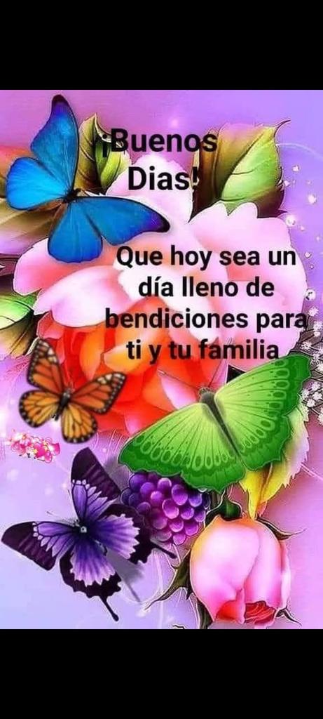 CastilloNa68296's tweet photo. @PLinero AMÉN 🙏🙏 AMÉN 🙏🙏 https://t.co/sTimTaDbTm