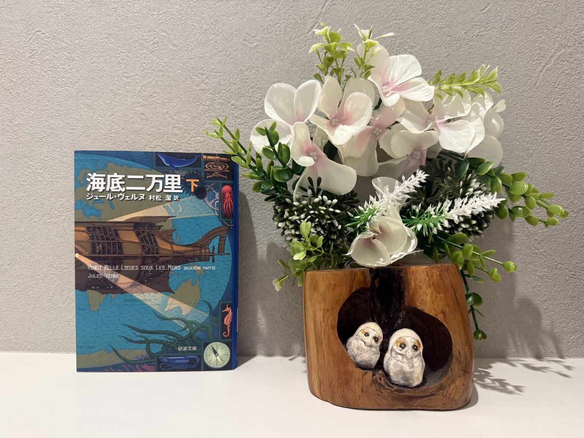 yushima0803's tweet photo. 『海底二万里』 (下)
ジュール・ヴェルヌ  #読了

ネモ船長、最強説。圧倒的な知識と好奇心はもちろん、体力・筋力・戦闘力・気力・判断力・勇気・リーダーシップ…才能の全てを持っているのでは？などと思う。その中でも最大なのは実行力か。
だけどつらいのは、彼を呑み込んで溺れさせてしまうモノ→ https://t.co/NoQPEWh5VK