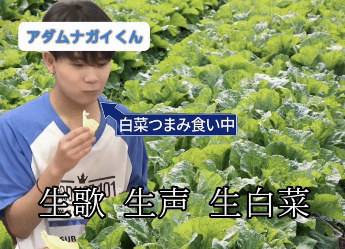 まーや🌺 tweet media