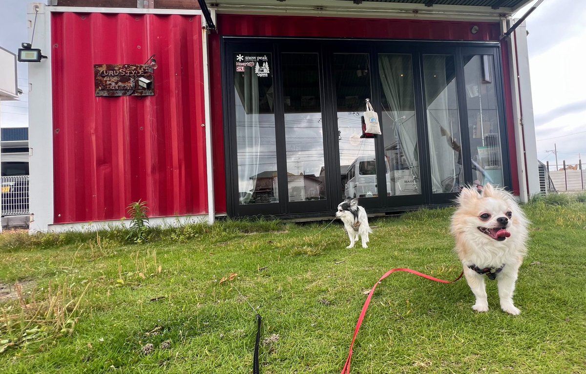 riz_copen's tweet photo. 🐶🐶ちっちゃいもの倶楽部

この場所での倶楽部活動は最後かな☺️
ルイくん、
遊びに来てくれてありがとうね!!
新天地でまた来てね❣️

しかし...出雲ラブがスゴイな、ルイ君(笑

#チワワ #本日の出雲 https://t.co/PiCQM5lWPl