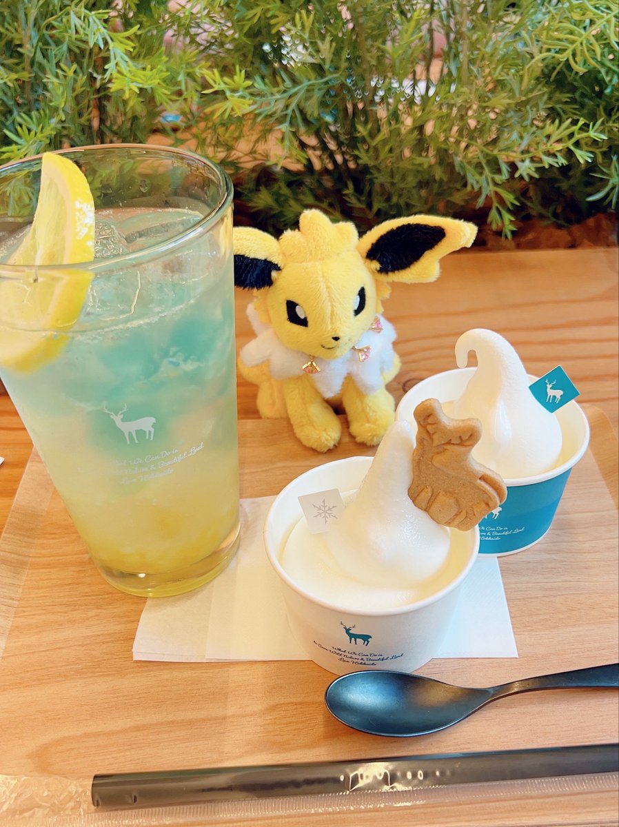 135sky's tweet photo. 無印の店員さんが使ってるバックがTNOCって分かってくれたのか北海道民ですか？！って話しかけてくれて嬉しかった〜〜😭TNOC好きすぎて毎回帰省のたびに行く😭売上一部寄付されるのも好き！ソフト食べ比べも美味しすぎるから札幌でみんな食べて〜〜狸小路だよ🍦
https://t.co/b6FW6CjhmI https://t.co/VkgOUZrQFX