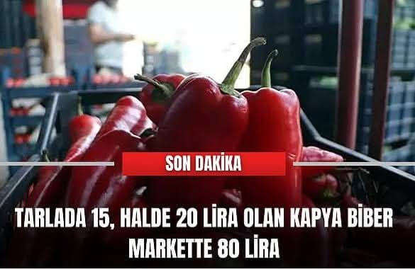 Recepsamuncu1's tweet photo. Haldeki kabzımalları isyan ettiren fiyat farkı: Tarlada 15, halde 20, markette 80 lira!

🗣 Adana Kabzımallar Odası Başkanı Mahsun Doğan:

■ Hal fiyatına göre yüzde yüz fiyat arttırsalar yine bu şekilde olmaması lazım.

■ Normal şartlarda market fiyatının 40-50 TL olması lazım, https://t.co/im0JB7hgUW
