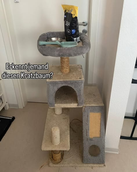 yolandaschultes's tweet photo. 72770 Reutlingen-Betzingen
Am 27.05 wurde gegen 11 Uhr von einer Frau und ihren Kindern eine ausgesetzte Katze entdeckt. Festgebunden am Kratzbaum, daneben das Klo inklusive Futter & Schüssel
Kopie
Ohne Worte...
Nachdem wir erst über den am 24.05 ausgesetzten Kater in Metzingen berichtet haben, geht es passend zur Ferienzeit gerade weiter.
Am 27.05 wurde gegen 11 Uhr von einer Frau und ihren Kindern eine ausgesetzte Katze entdeckt. Festgebunden am Kratzbaum, daneben das Klo inklusive Futter & Schüssel.
Das ganze spielte sich in der Nähe der Firma Münzinger an der Unhaldestraße in Betzingen ab. Die Kätzin ist vermutlich noch kein Jahr alt, leicht langhaarig & hat weder Chip noch Tattoo.
Großen Dank an die Finderin die trotz schwerer Katzenallergie und ihrem Baby, die Katze & alle Beweise gesichert hat.
Wer kennt diese Katze?
Vermutlich war sie bisher noch nicht draußen da sie komplett eingefroren in ihrem Kratzbaum saß. Irgendwo fehlt jetzt diese Katze, diese Kratzbaum & dieses Katzenklo. Wer hat vielleicht vor Ort an der Firma etwas gesehen?
Hinweise gerne per PN, an katzen@tierschutzverein-reutlingen.de oder telefonisch unter 07121 14480660.