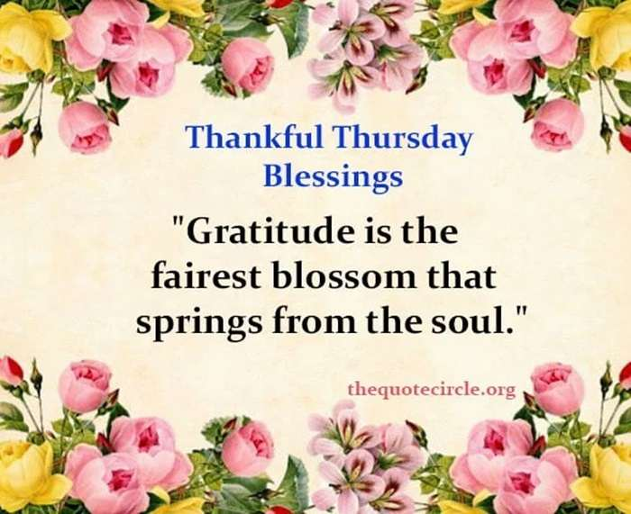 SharonSimcic's tweet photo. Good morning wonderful people.  Live this day on purpose.  😊💖✝️🙏👍 https://t.co/7vvvVmkdYK