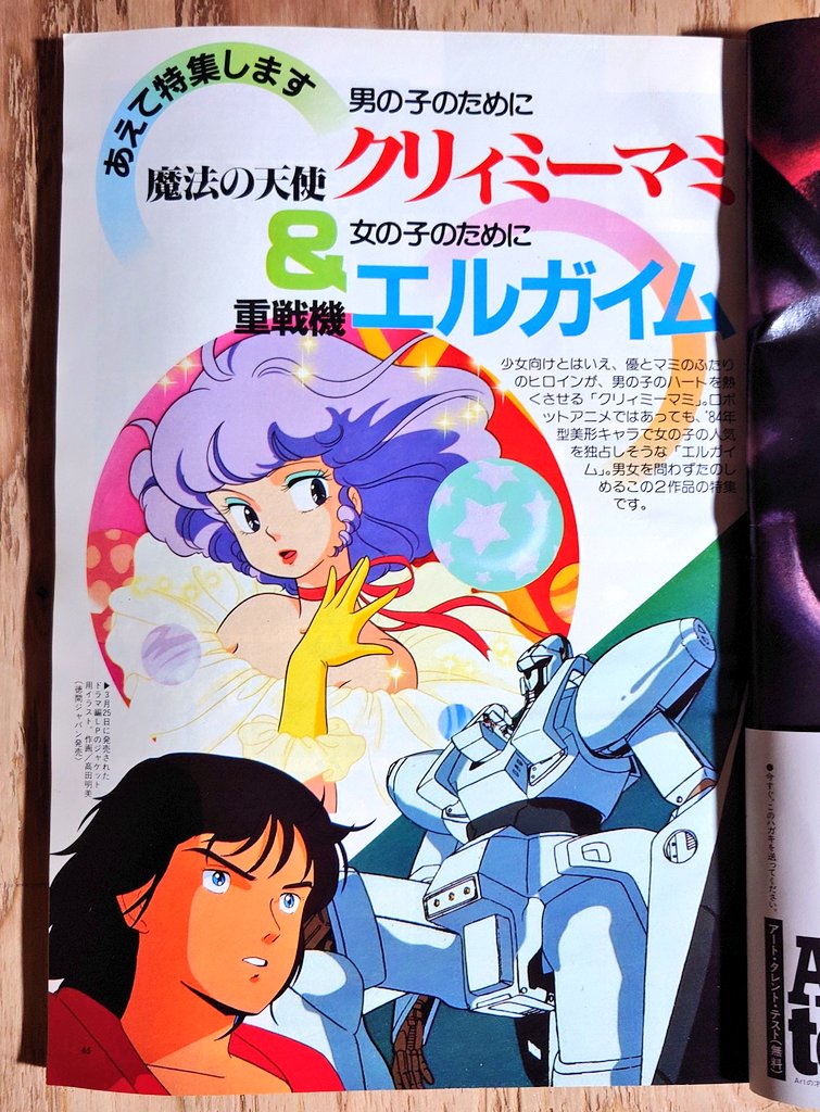 1984年6月号は何も無しで5月号のアニメージュは、キャラクター特集で