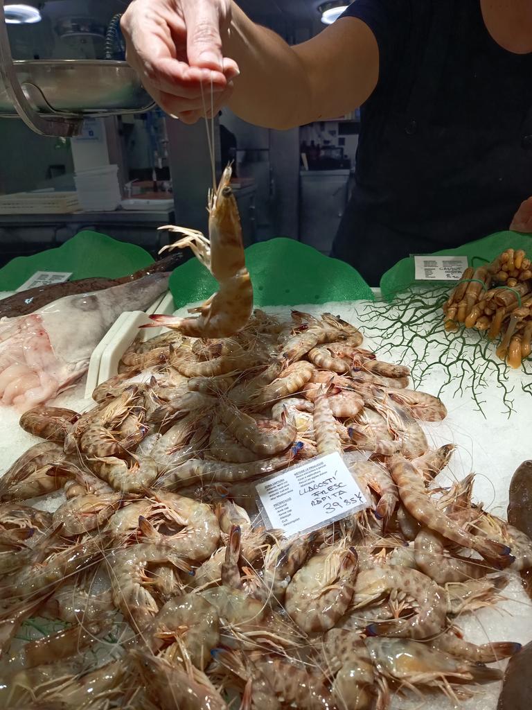 Sixtyfour37's tweet photo. El pescado de hoy en el mercado de Salou. 
#compraenlosmercados https://t.co/5zqdMESjS5