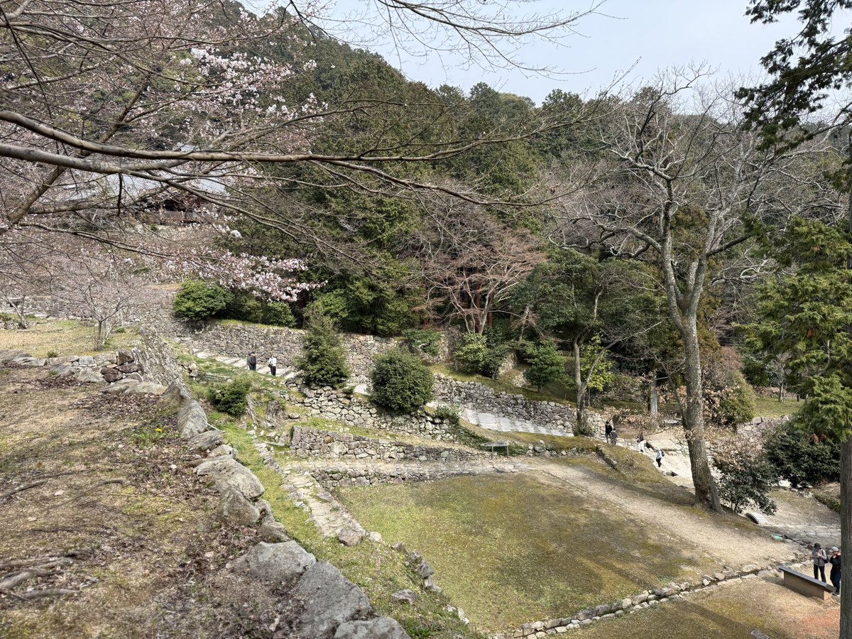 mosihara tweet picture