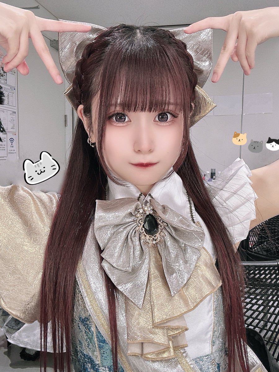 jiemei_rose's tweet photo. ぬこ https://t.co/RhrgNcabIh