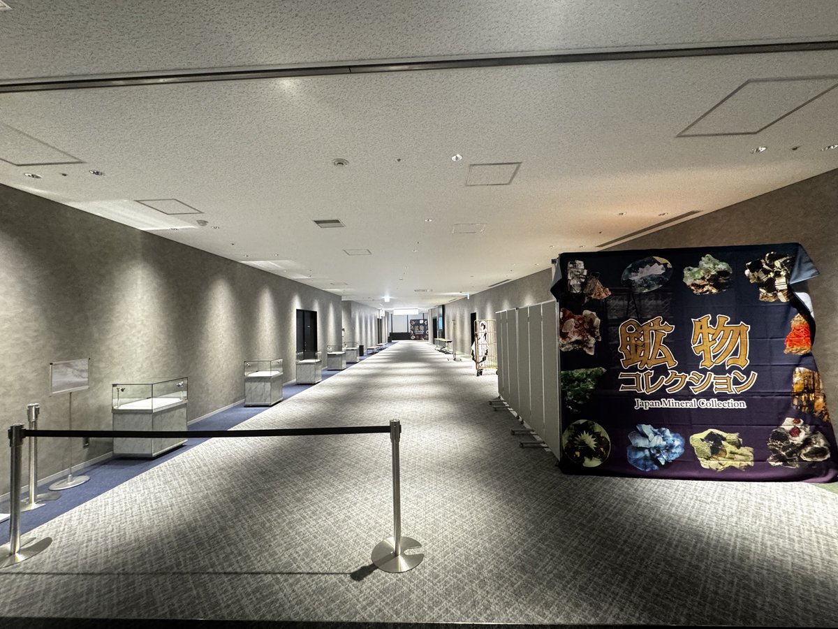gemeiko's tweet photo. 明日から開催
鉱物コレクション
グラングリーン大阪　4F https://t.co/LsU6rxXoHH
