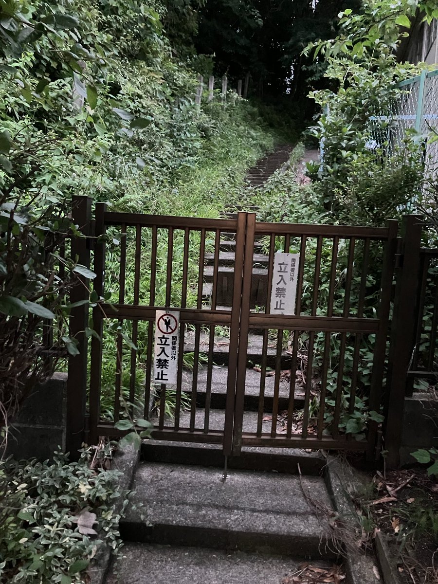 if_itself's tweet photo. 気になる…。 https://t.co/GGlPKZl7oP