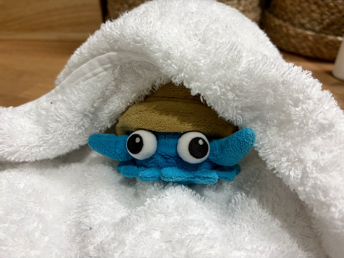 Omanyte06's tweet photo. オムナイト、朝風呂をキメました🛀🐚☀️ https://t.co/d5qgUXFCu0
