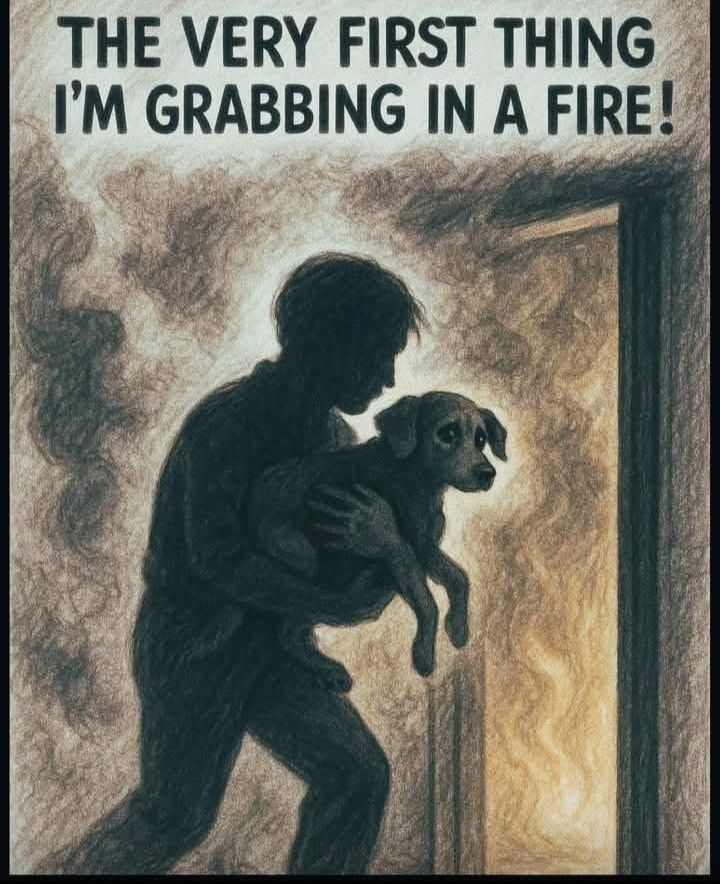 Beyond_theleash's tweet photo. https://t.co/XZ7PEOEF2S