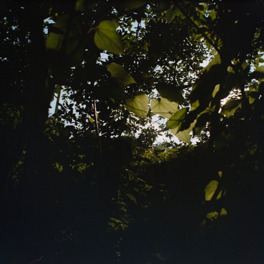 aprcott_'s tweet photo. 朝の写真
#film https://t.co/QppqL6IMq1