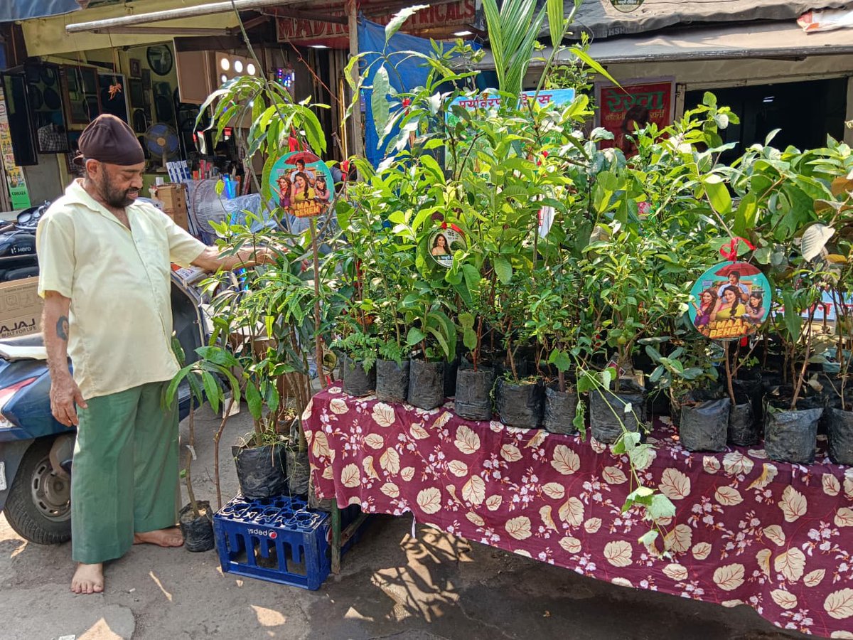 bparvinder's tweet photo. Inspired by @MadhuriDixit new @NetflixIndia @netflix  film 'Maa Behan', her fan Pappu Sardar distributed 400 fruit-bearing saplings among the people under the theme "Ek Ped Maa-Behan Ke Naam". #WorldEnvironmentDay #MaaBehan #GreenJamshedpur #MadhuriDixit #madhurifan #jabrafan https://t.co/K60ifWHSI8