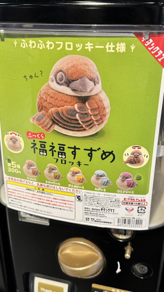 ちゅん( ^ω^ )