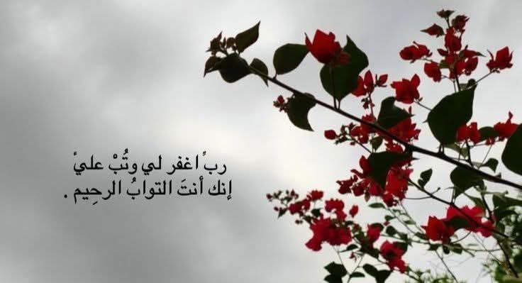 SaifullahManzar's tweet photo. رسول اللہ ﷺ نے فرمایا : 
جب بندہ کہتا ہے : 
«اِغْفِرْ لِي ذُنُوبِي». 
’’اے رب! میرے گناہ معاف کر دے۔‘‘
 تو اللہ تعالی اس پر خوش ہوتے ہیں کہ میرے بندے کو پتا ہے کہ میرے سوا گناہوں کو معاف کرنے والا کوئی نہیں ہے۔ 
(سنن أبي داود : ٢٦٠٢) https://t.co/1JTc0ZmUzz
