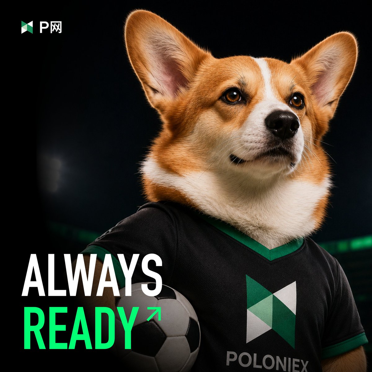 Poloniex Exchange tweet media