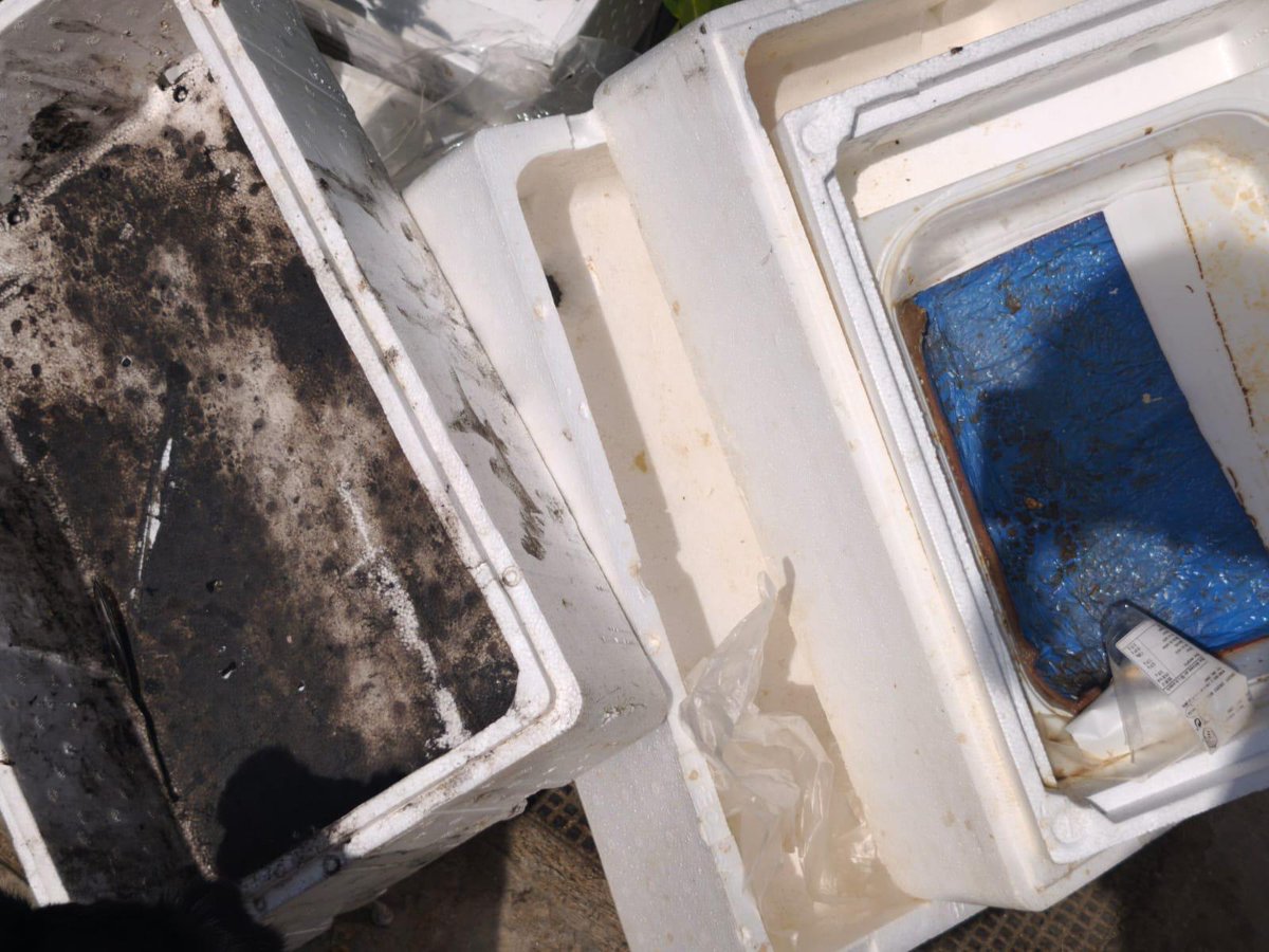 VCampoGibraltar's tweet photo. ⚠️🐟 Vecinos de El Rinconcillo denuncian la aparición de numerosas cajas de corcho utilizadas para el transporte de pescado abandonadas junto a los contenedores situados en el cruce de la carretera de La Mediana con la calle Cabo de Rocas. https://t.co/f3fF6C6rVE