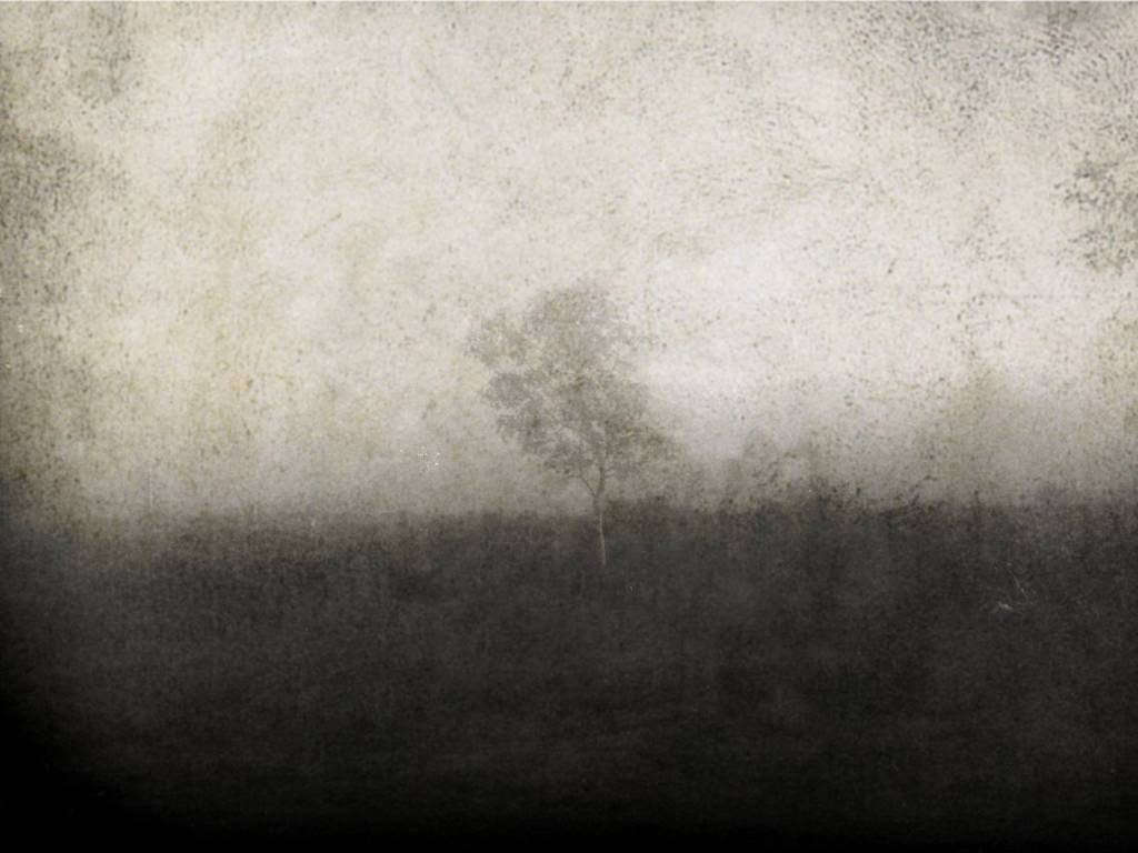 artlimitednet's tweet photo. Au milieu de nulle part by Philippe Berthier https://t.co/0FUIeZ1EKy
#forest #traitement #insolite #exposure #arbre #impressionisme #impressionism #photography #snapshot #digital #vegetal #mystrieux #tree #nature @asaphil https://t.co/duXtG8zw9K