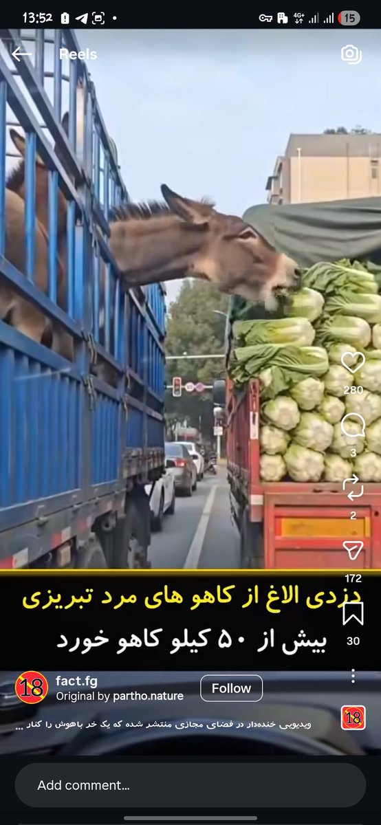 Mehranmsvr's tweet photo. @lldondonll آخی طفلکی.
بیا این با روحیه‌ت بیشتر سازگاره https://t.co/0zN9e0HhXj