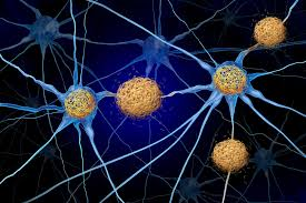 TheeOutpost's tweet photo. Scientists Discover Alzheimer’s-Linked Proteion’s Surprising Role in Making Memories Last

A new study shows that tau helps organize and preserve long-term memories, while abnormal tau may contribute to memory problems in Alzheimer’s disease by disrupting memory formation and recall. New research has revealed that tau, a protein closely linked to Alzheimer’s disease, is also essential for creating long-lasting memories.