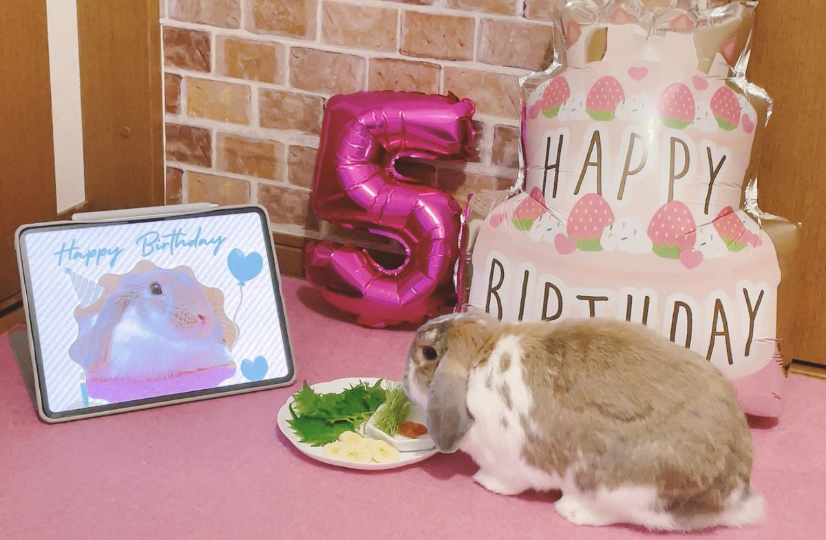 komugirabbit64's tweet photo. こむぎ5歳になりました🐰🎉
大好物のバナナ&amp;大葉+αのプレートでお祝いしました🍌🌱 https://t.co/sqqEp8eCSv