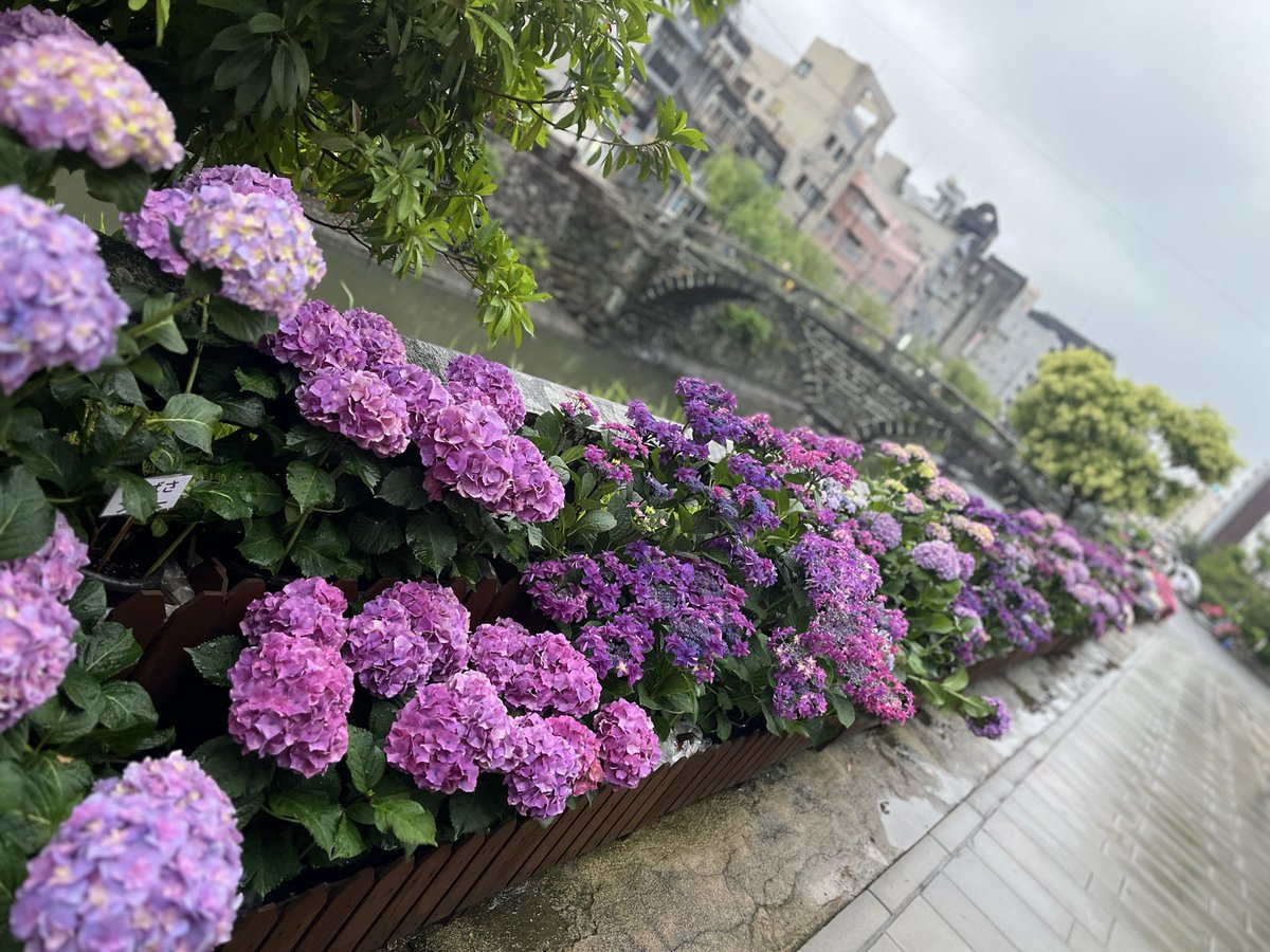 お取り置きになりました(。ᵕᴗᵕ。)「紫陽花♡ピンク系」 Natumeki13 なつさん✨流石お詳しい！👏ピンク系紫系が圧倒的に多い