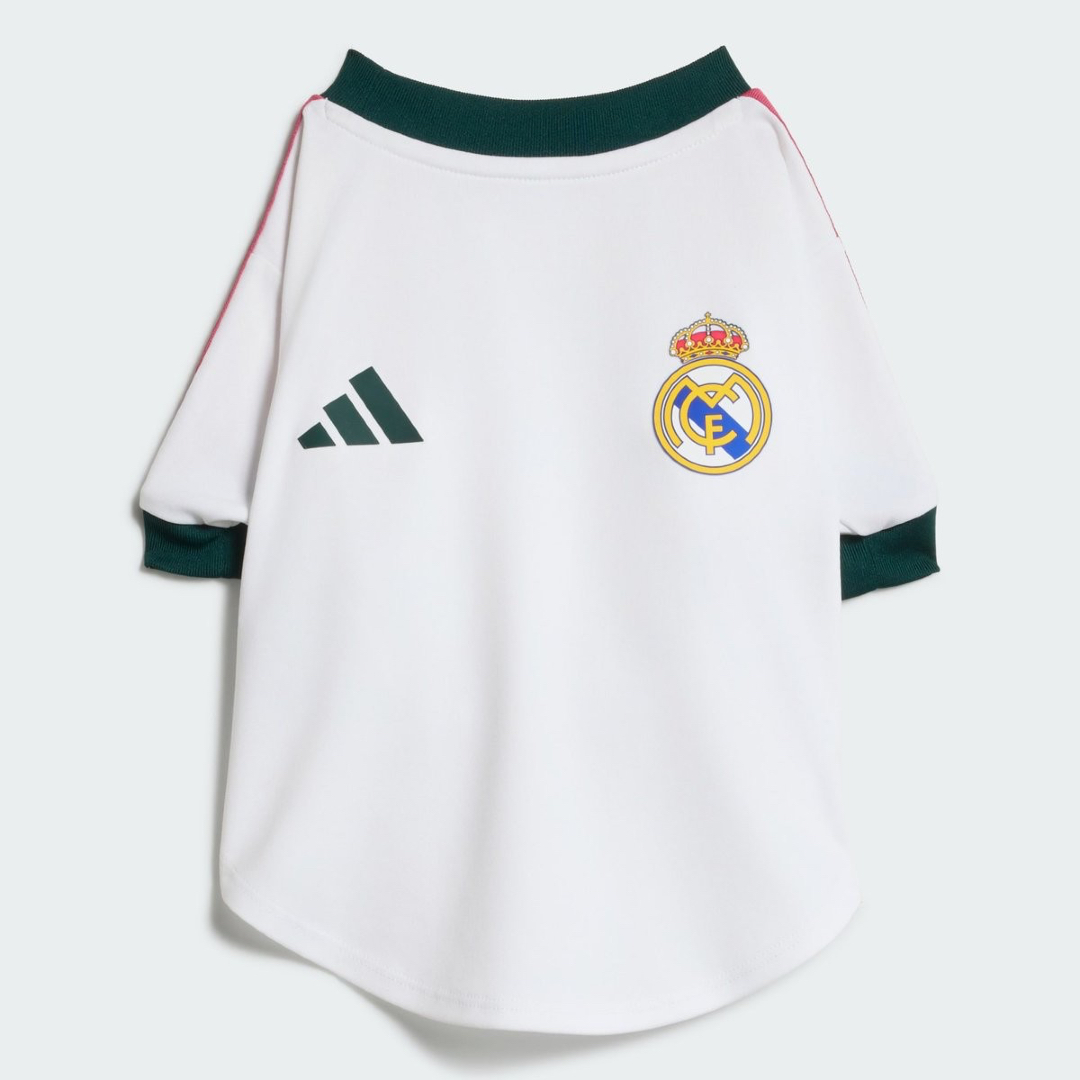 mirondo9's tweet photo. 🐶 Adidas y el #RealMadrid han lanzado un modelo para perros de la nueva camiseta 2026-27 https://t.co/dftu6vp58q