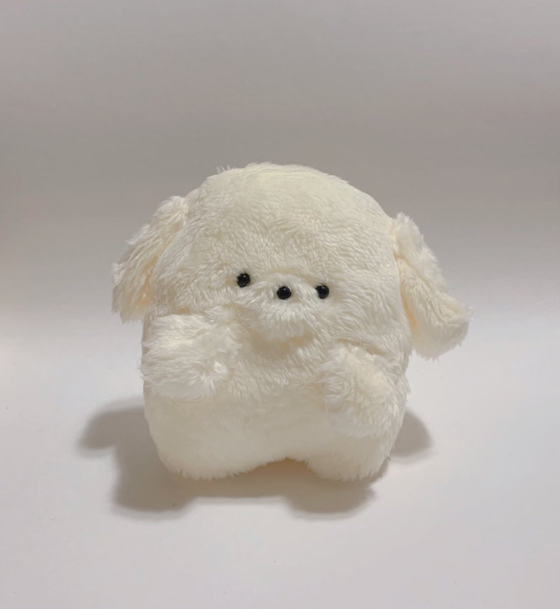 chie_lemontea's tweet photo. こいぬ🐶クリーム
#ぬいぐるみ #ぬい撮り #ぬい活 #ハンドメイド https://t.co/eamSlorol7