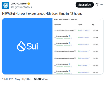 smtkrdmr's tweet photo. Petit reminder: Cardano has 100% uptime! 💪🦋🍄 https://t.co/XReygdQYEs