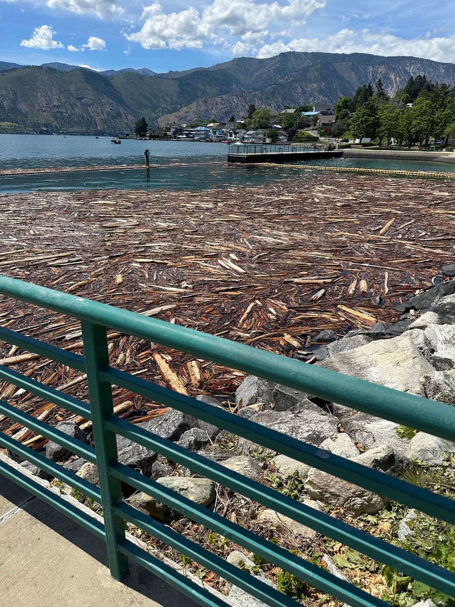 1BethDutton's tweet photo. A lot of people have been waking up with wood over in the lake Chelan area. 

I'll show myself out now. https://t.co/Z8fccklaLO