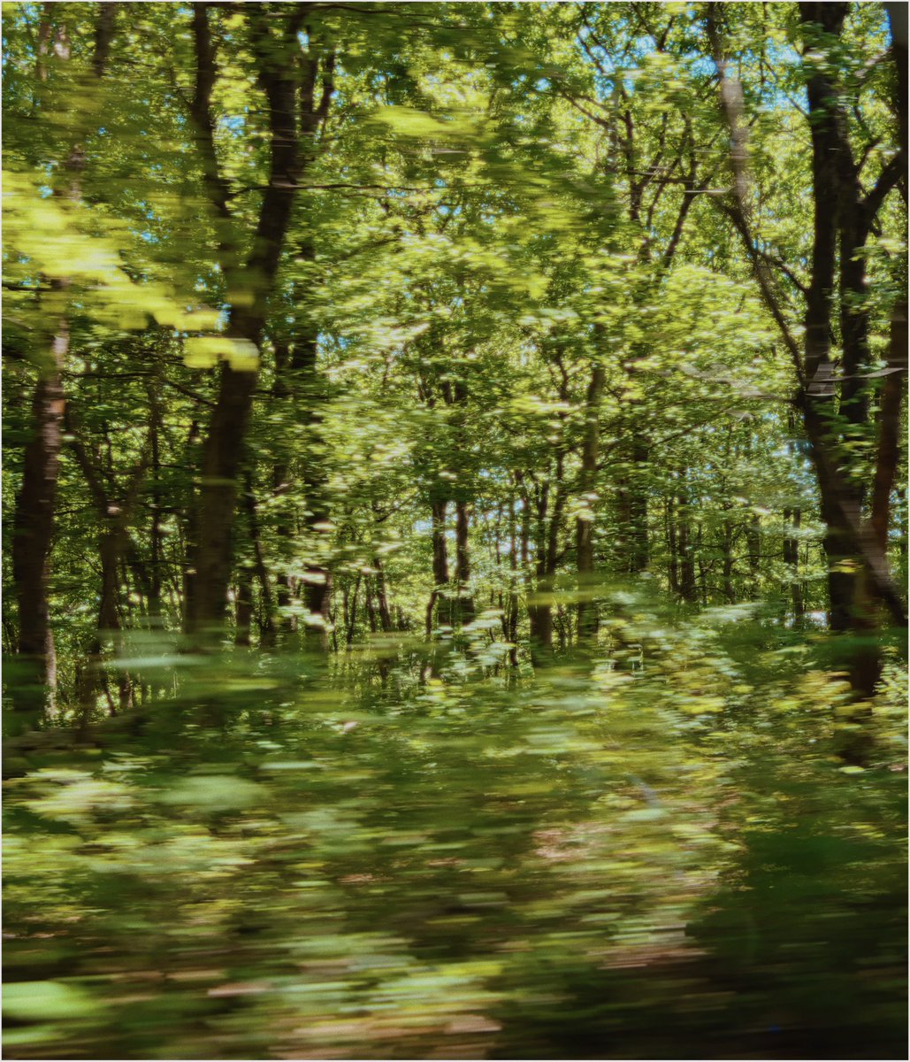 srd02man's tweet photo. 🌳 https://t.co/EQh3AA8ybI