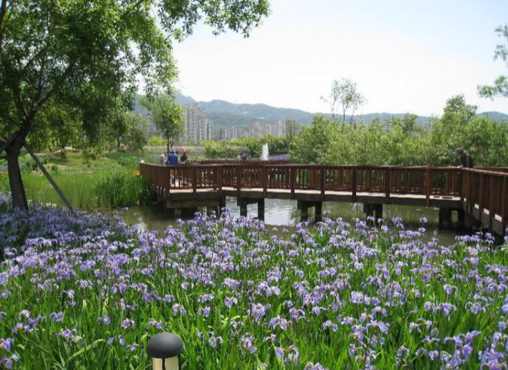 Aurora_5100's tweet photo. "서울에 이런 곳이 있었어?"…

지하철역 1분 거리에 숨겨진 꽃 천국

도봉산역 바로 앞에 있는데도
의외로 모르는 사람이 많은 곳입니다.

5~6월이면 130여 종, 30만 본의 붓꽃이 장관을 이루고,
입장료도 무료예요.

연못과 산책로, 북카페까지 갖춰져 있어
조용히 힐링하기 좋은 숨은 명소로 꼽힙니다.

서울 북쪽 끝자락에 숨어 있는
이 아름다운 정원의 정체는 어디일까요?