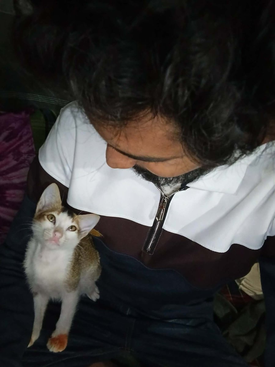 vizard_212 tweet picture