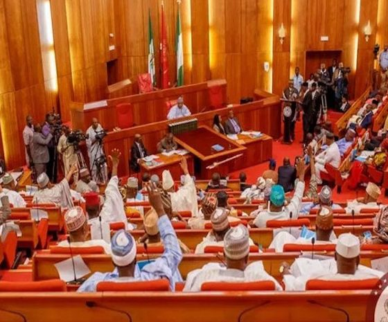 Thenichenews's tweet photo. Advocacy group CAPPA has lauded the Senate's passage of a landmark bill reforming Nigeria’s Sugar-Sweetened Beverages (SSBs) tax, calling it a bold step to protect public health. 

Read the full policy breakdown: https://t.co/HN9O4rVUol https://t.co/4WMcgpTghV