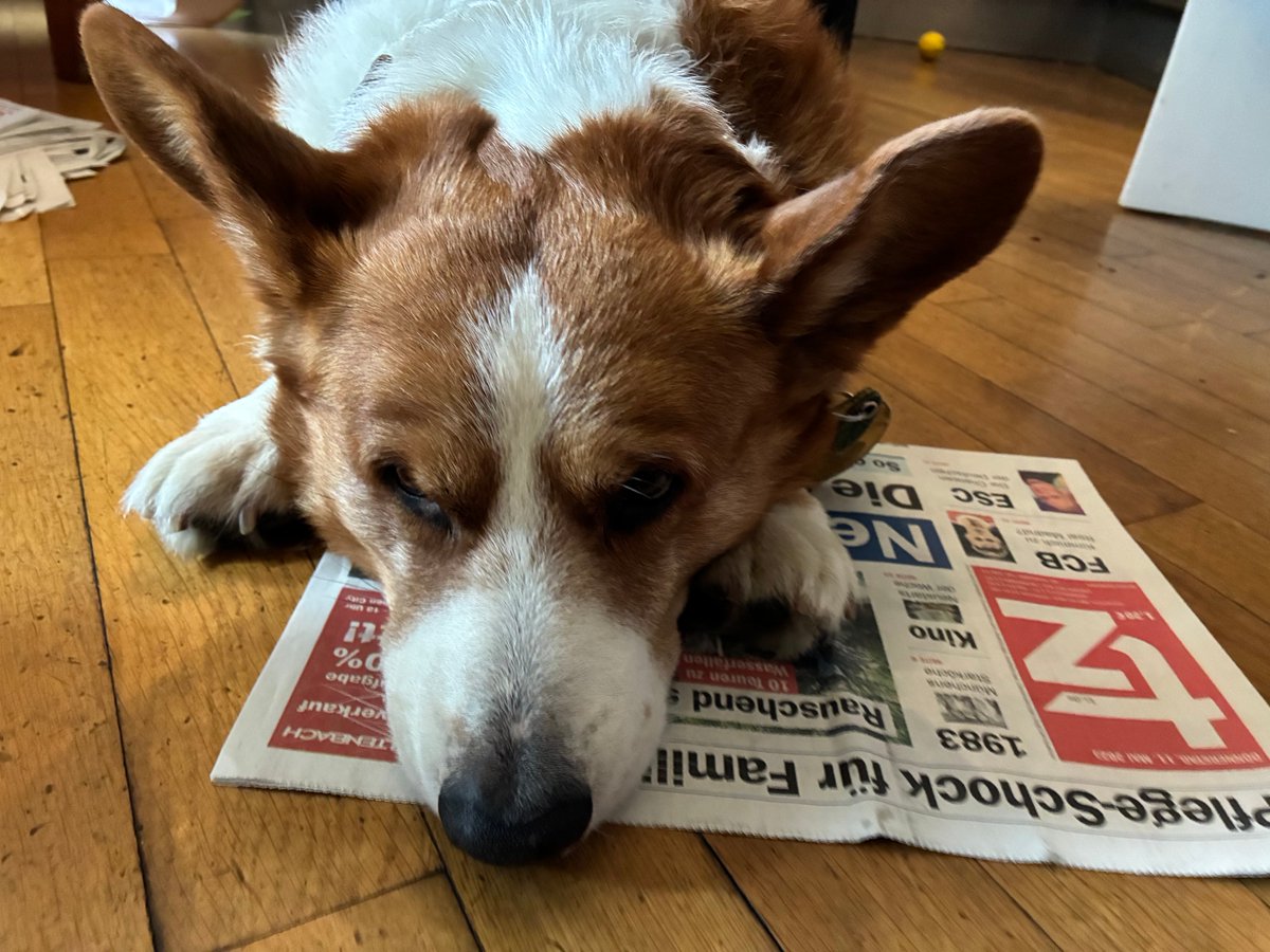 Toedtmann's tweet photo. #GeorgeliebtPrint - heute die Münchner „tz“ - danke Jürgen! https://t.co/lHJoD3aFZu