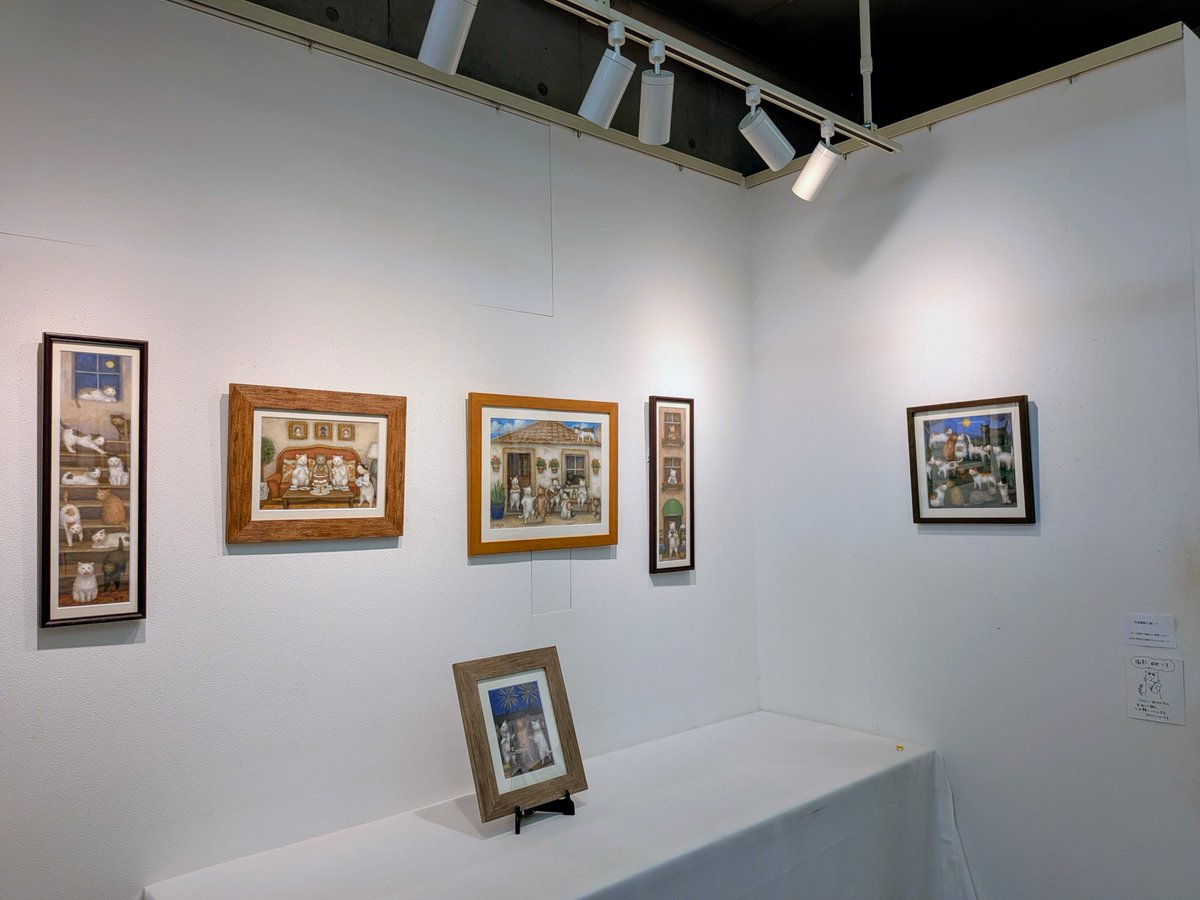 nekonohikidashi's tweet photo. 布施和佳子さんの展示風景です。
（キャプションなどは明日）
立体も有ります。（点数制限有り）
２０２６年６月５日～９日（１２時～１７時）
場所：ねこの引出し
東京都中央区東日本橋2-12-2
🐱布施さん全日在廊予定 https://t.co/6aNcM8asm0